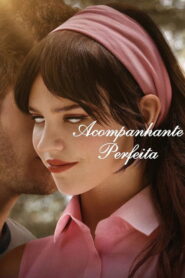 Acompanhante Perfeita