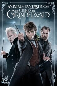 Animais Fantásticos 2 Os Crimes de Grindelwald