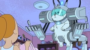 Ep 2 - Cãortador de Grama